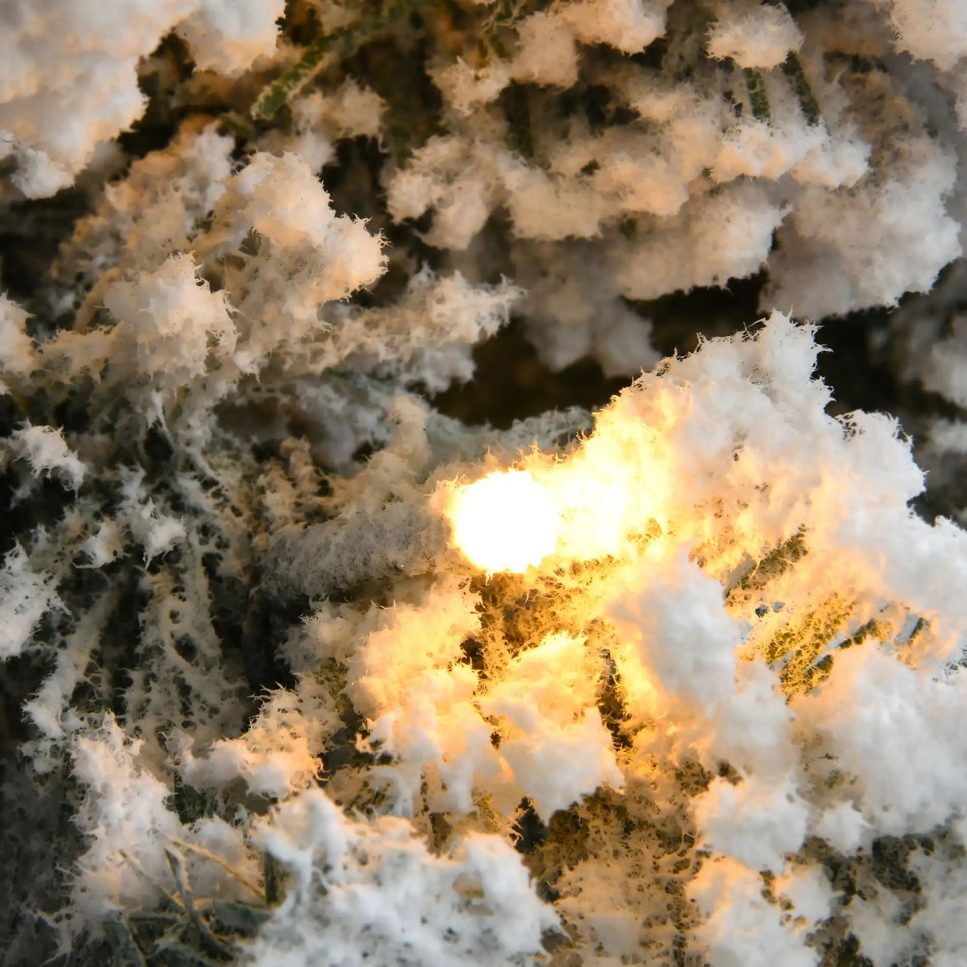 Akik - Albero di Natale con neve finta e luci a led H 210 cm - Image 3