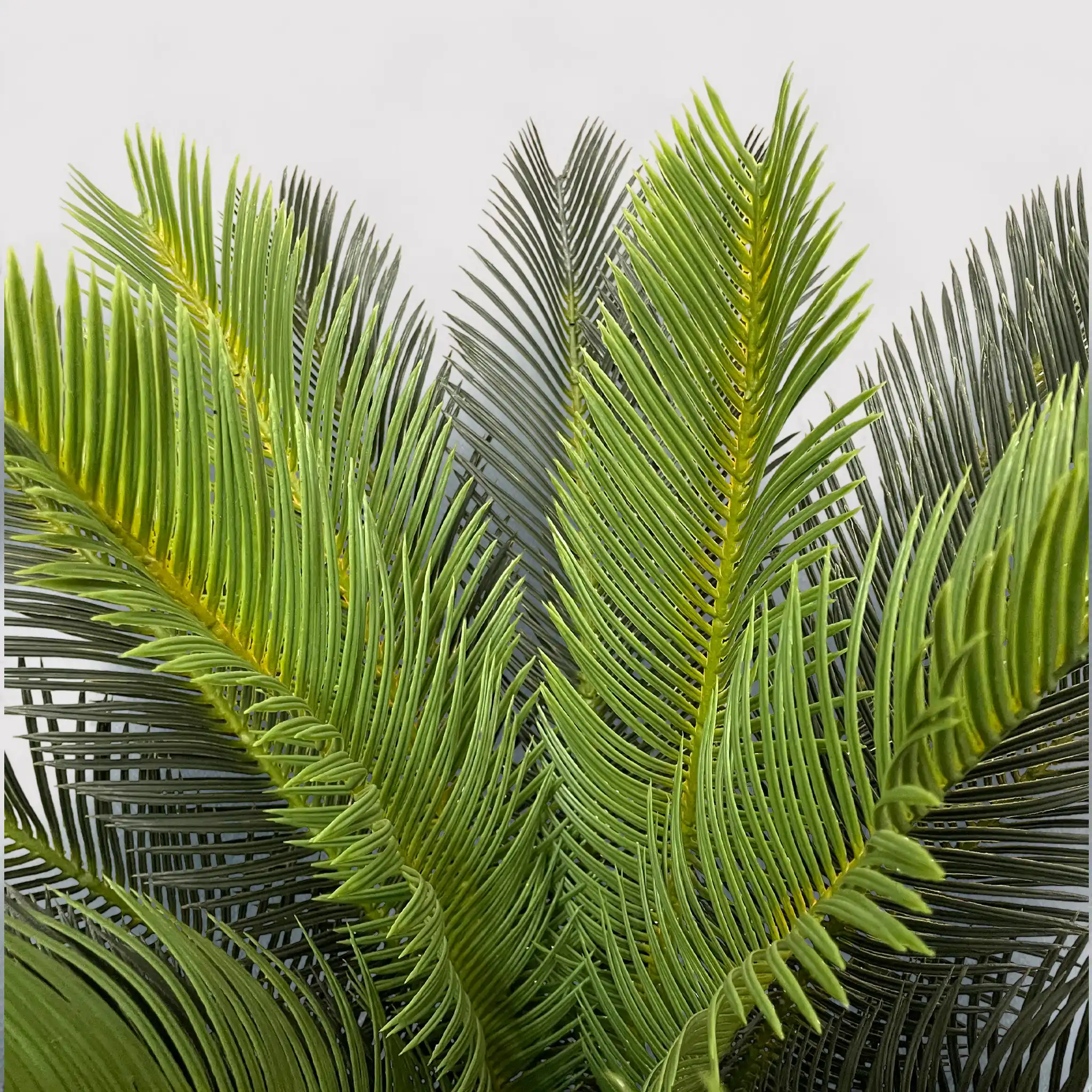 Siyar - Pianta di cycas artificiale decorativa in polietilene - Image 3