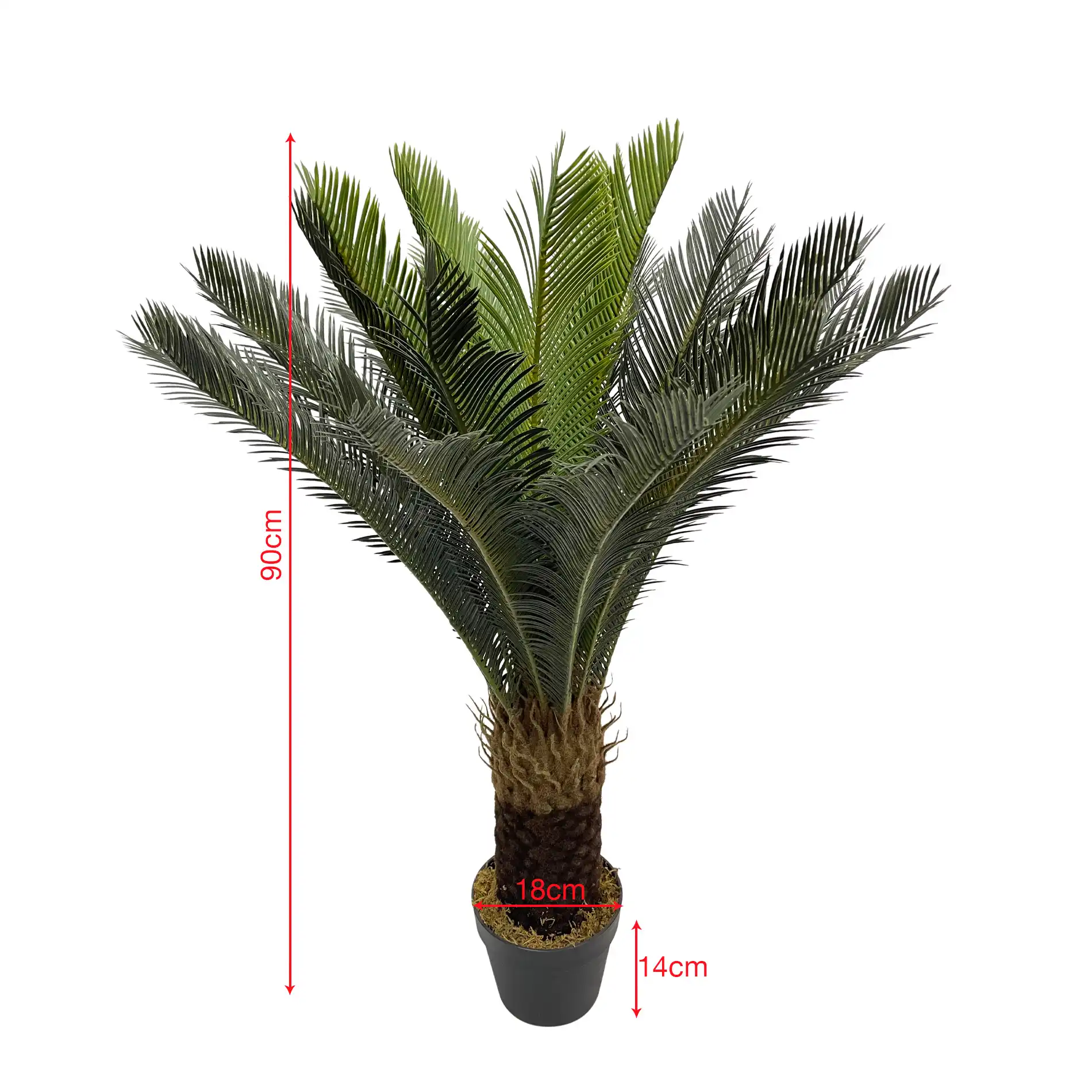 Siyar - Pianta di cycas artificiale decorativa in polietilene - Image 5